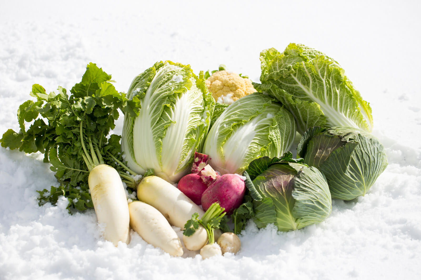 Winter market gardening in full swing