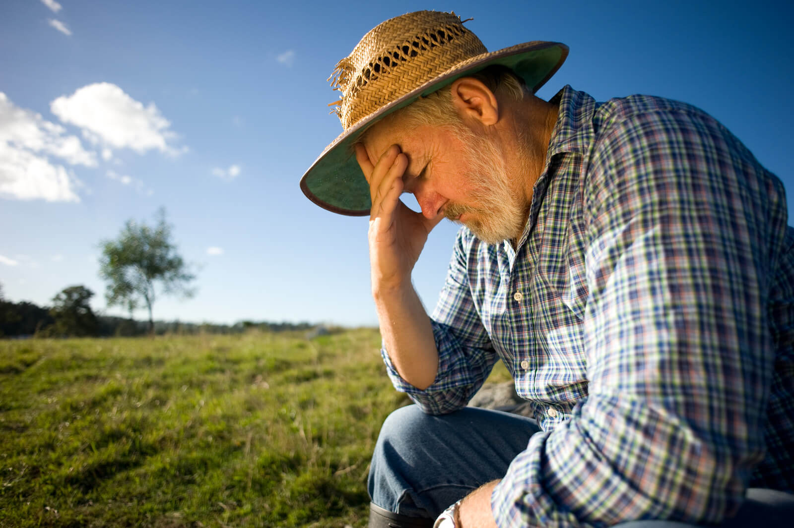 Mental health on the farm