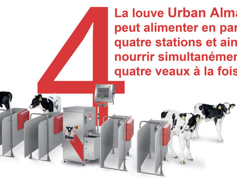 Système d'alimentation pour les veaux Urban Alma Pro