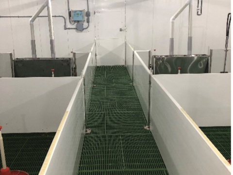 Latte de pouponnière de différents formats, trémies sur mesure, ventilation, soigneur