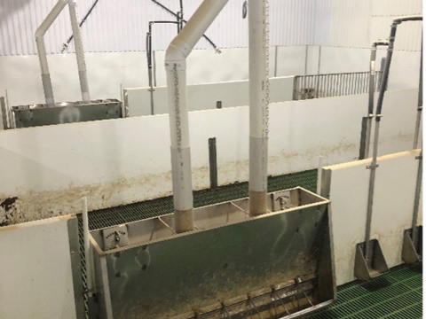 Plusieurs projets de changement de planchers de pouponnières, nouveaux bols à eau avec économiseur d’eau, trémies sur mesure