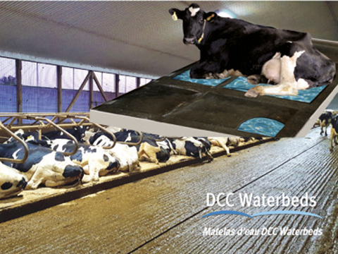 Water mattress DCC Waterberds 